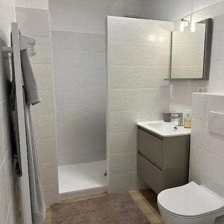 Tres Bel Neuf - Parking Et Terrasse Διαμέρισμα Biscarrosse